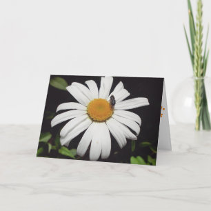 "Bee Upon Daisy" Get Well Card