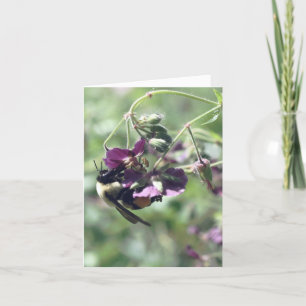Bee With Pollen Flower Photography  Note Card