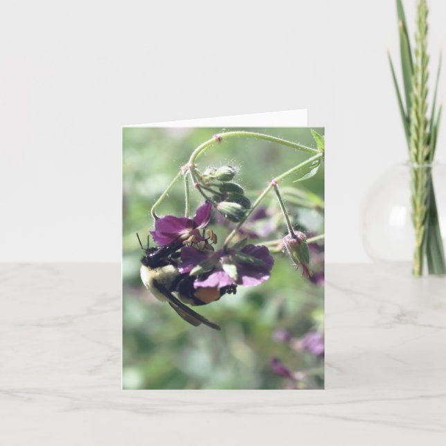 Bee With Pollen Flower Photography  Note Card (Front)