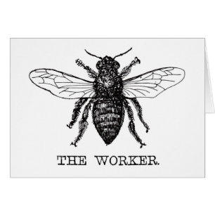 Bee Worker Honey Black Bumblebee