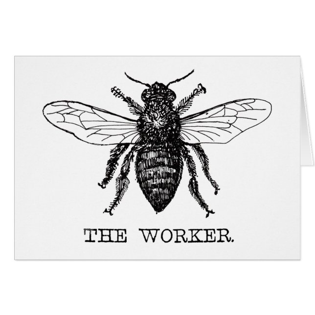 Bee Worker Honey Black Bumblebee (Front Horizontal)