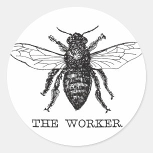 Bee Worker Honey Black Bumblebee Classic Round Sticker