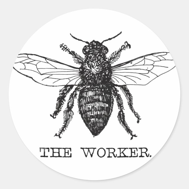 Bee Worker Honey Black Bumblebee Classic Round Sticker (Front)