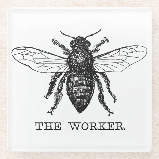 Bee Worker Honey Black Bumblebee Glass Coaster (Front)