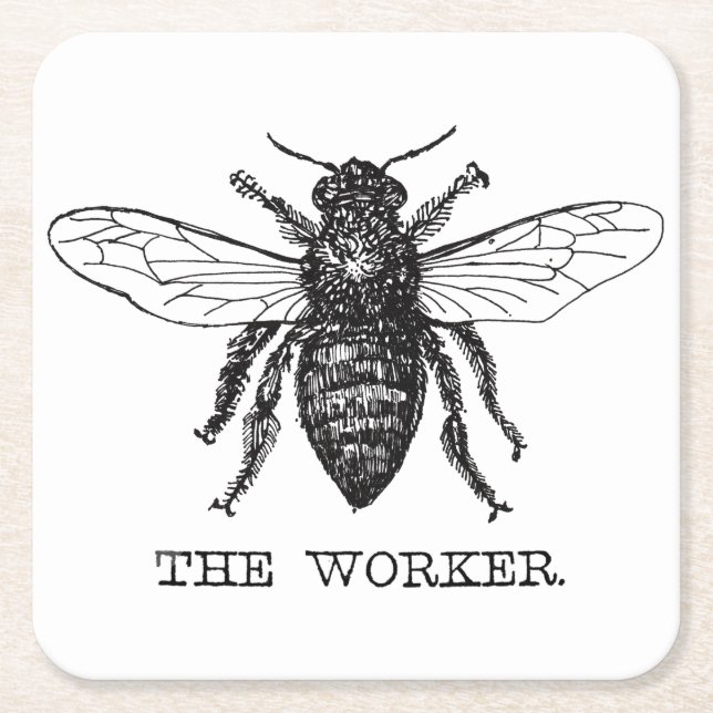 Bee Worker Honey Black Bumblebee Square Paper Coaster (Front)
