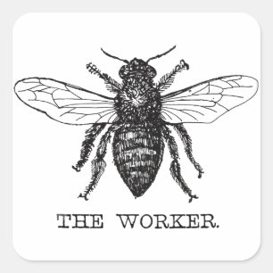 Bee Worker Honey Black Bumblebee Square Sticker