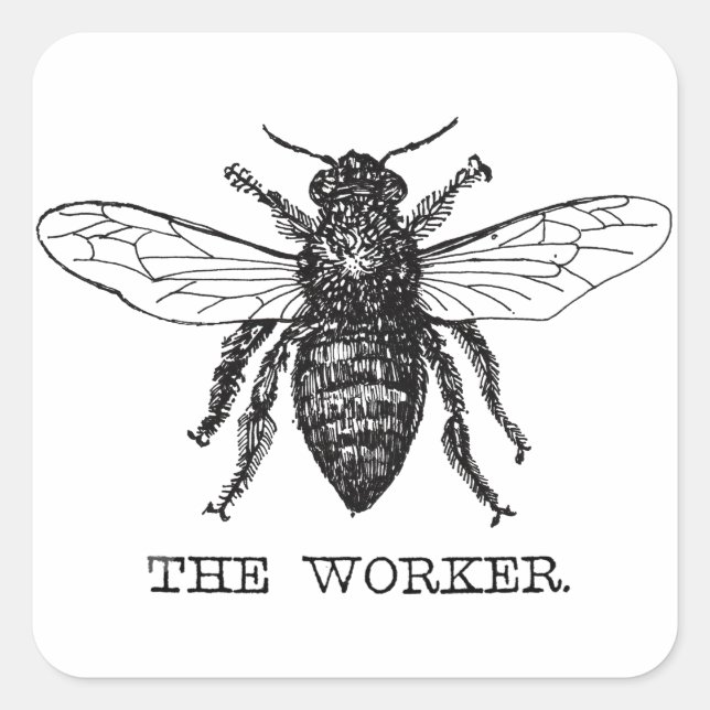 Bee Worker Honey Black Bumblebee Square Sticker (Front)