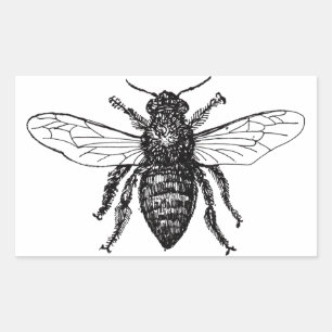 Bee Worker Honey Black Bumblebee Sticker