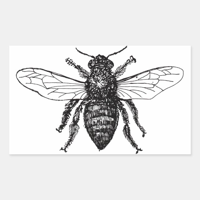 Bee Worker Honey Black Bumblebee Sticker (Front)