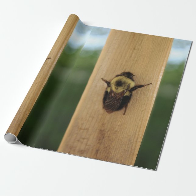 Bee-zilla Wrapping Paper (Unrolled)