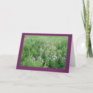 Beebalm in Prairie Garden Carte de note blanche
