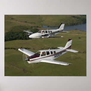 Beech Buddies Poster