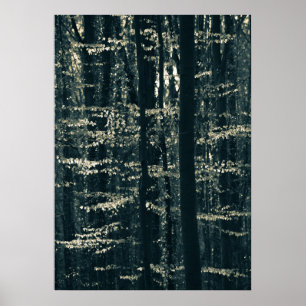 Beech forest nature photo poster