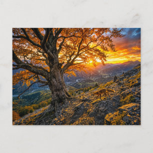 Beech on hillside with fox postcard