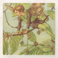 Beech Tree Fairy by Vision Studio