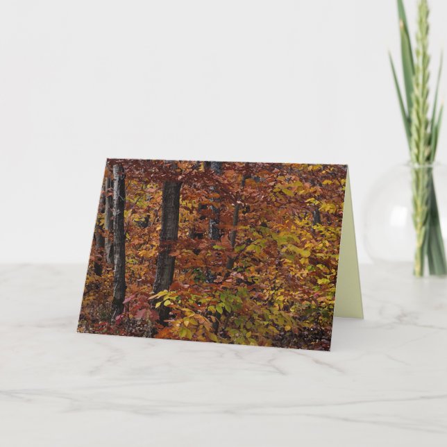 Beech Tree Forest Thanksgiving Holiday Card (Front)