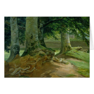 Beech Trees in Frederiksdal near Copenhagen