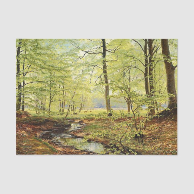 Beech trees in springtime, Christian Zacho Tissue Paper (Front)
