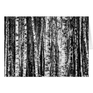 Beech Trees, White and Charcoal Grey / Grey