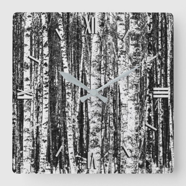 Beech Trees, White and Charcoal Grey / Grey Square Wall Clock (Front)