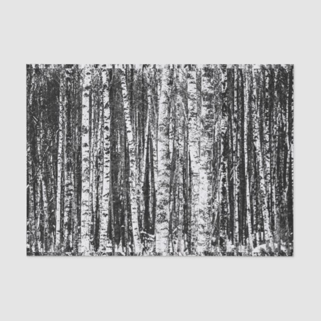 Beech Trees, White and Charcoal Grey / Grey Tissue Paper (Front)