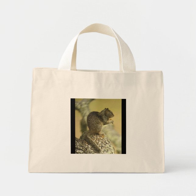 Beechey Ground Squirrel Bag (Front)