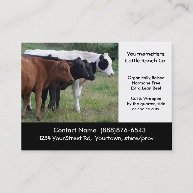 Beef Cattle Farming  or Butchering Business Card (Front)