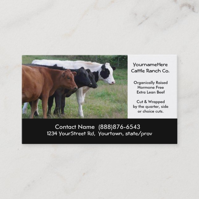 Beef Cattle Farming  or Butchering Business Card (Front)