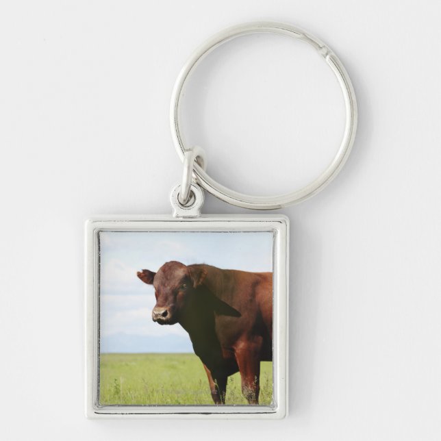 Beef cow in field keychain (Front)