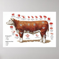 Beef Cuts Chart Poster