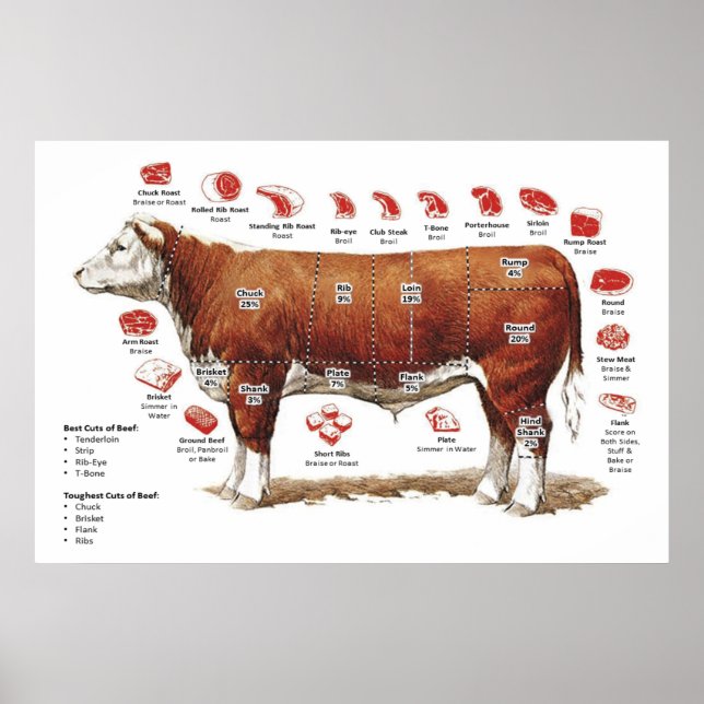 Beef Cuts Chart Poster (Front)