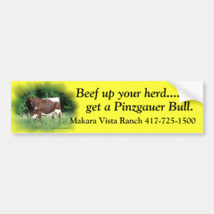 Beef Up Your Herd-add your name Bumper Sticker