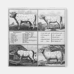 Beef, Veal, Pork, and Mutton Cuts, 1802 Magnet
