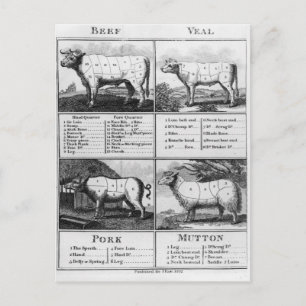 Beef, Veal, Pork, and Mutton Cuts, 1802 Postcard
