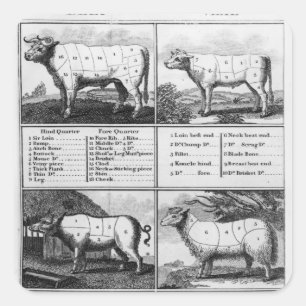 Beef, Veal, Pork, and Mutton Cuts, 1802 Square Sticker