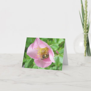 Beefly in Rose Note Card