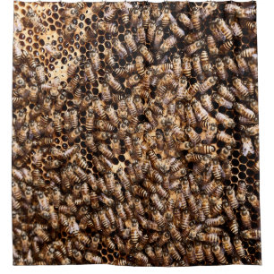 BEEHIVE