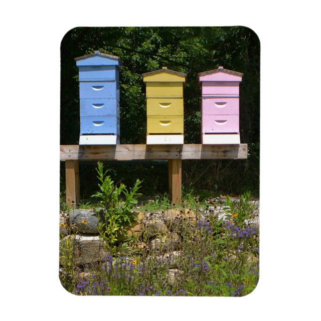 Beehive Magnet (Vertical)