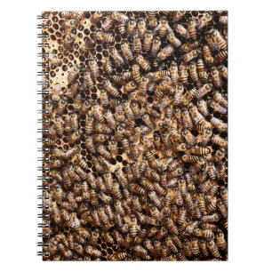 BEEHIVE NOTEBOOK
