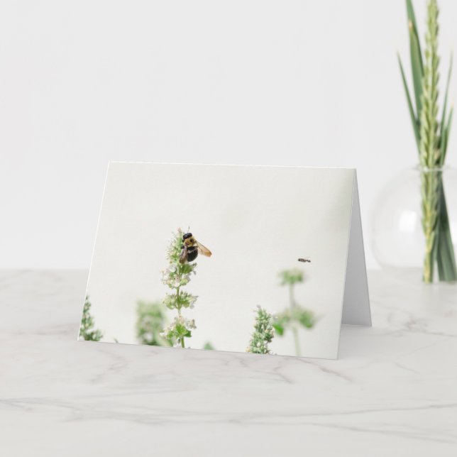 Beeline Card (Front)