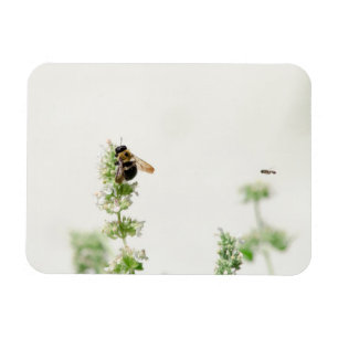 Beeline Magnet