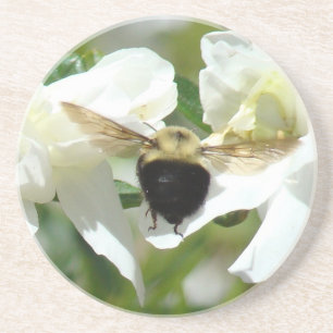 Bee'n Busy Coaster