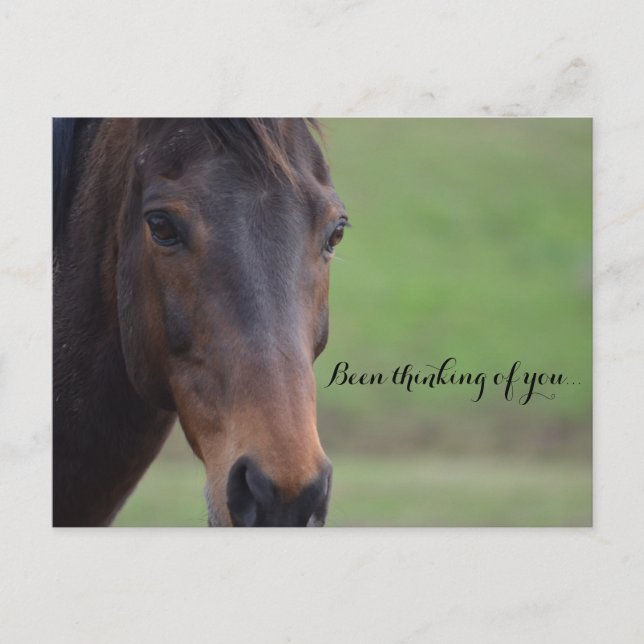 Been thinking of you... postcard (Front)