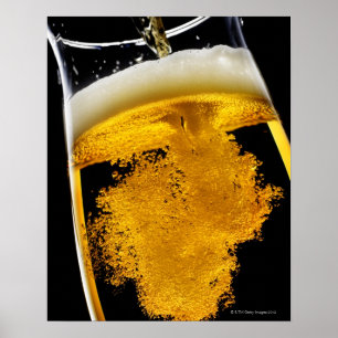 Beer been poured into glass, studio shot poster