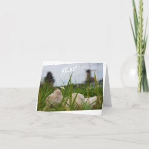 Beer relaxing in nature with Dutch moles. Card
