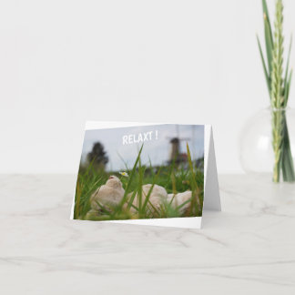 Beer relaxing in nature with Dutch moles. Card