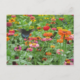 Beer-Sheva jaillit carte postale