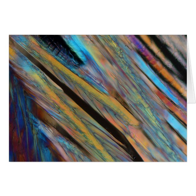 Beer under the microscope (Front Horizontal)