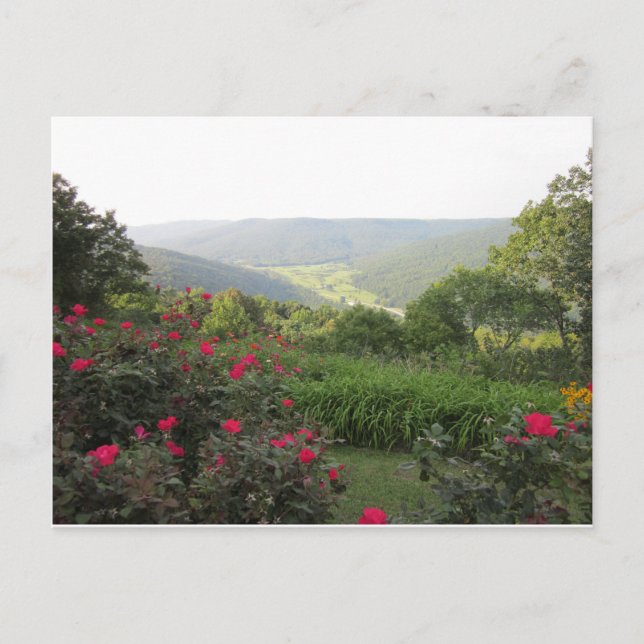 Beersheba Springs Postcard (Front)