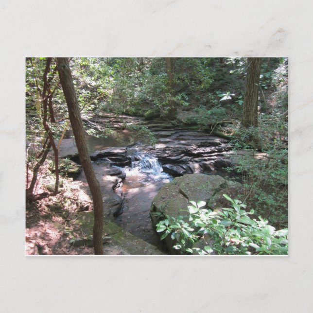 Beersheba Springs Postcard (Front)